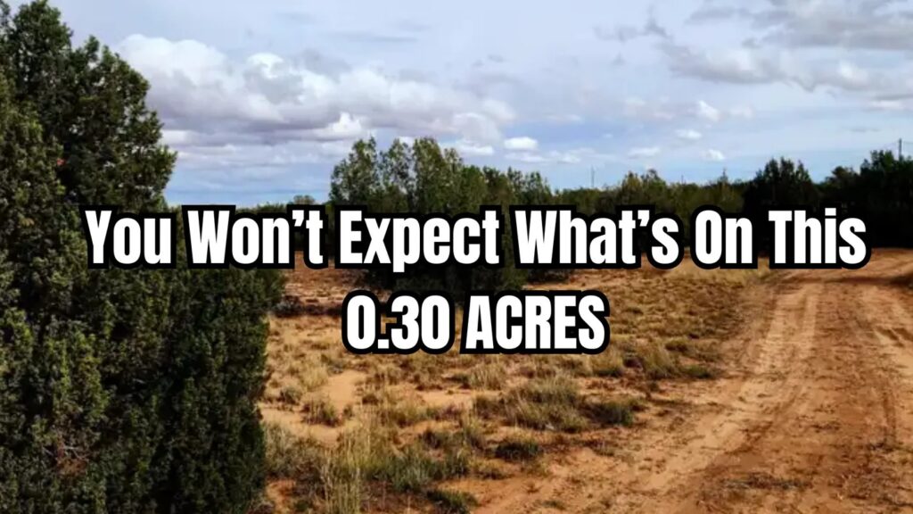 0.3 Acres – Putnam County, FL