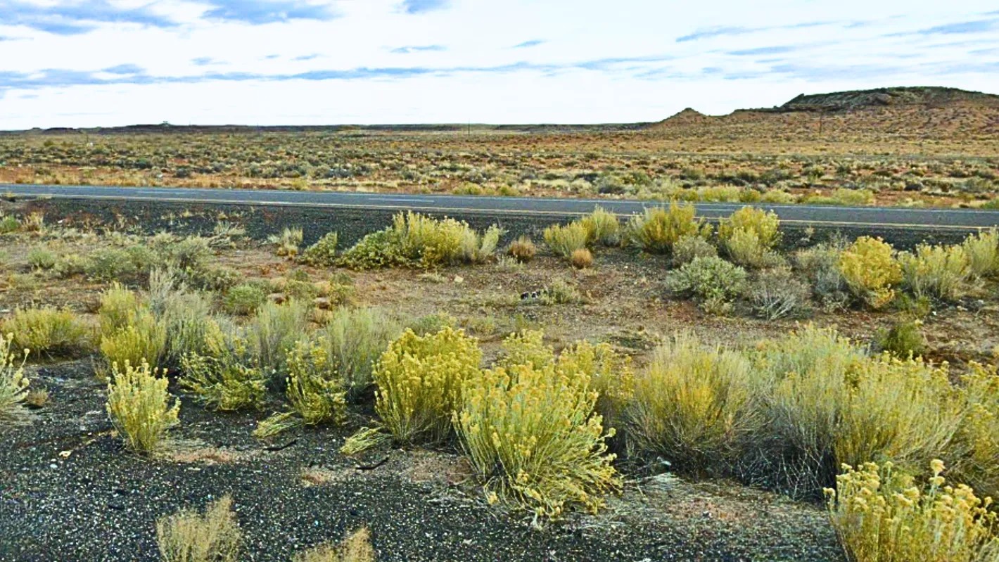 What Can You Put on Your Land? Tiny Homes, Mobile Homes, RVs, and More