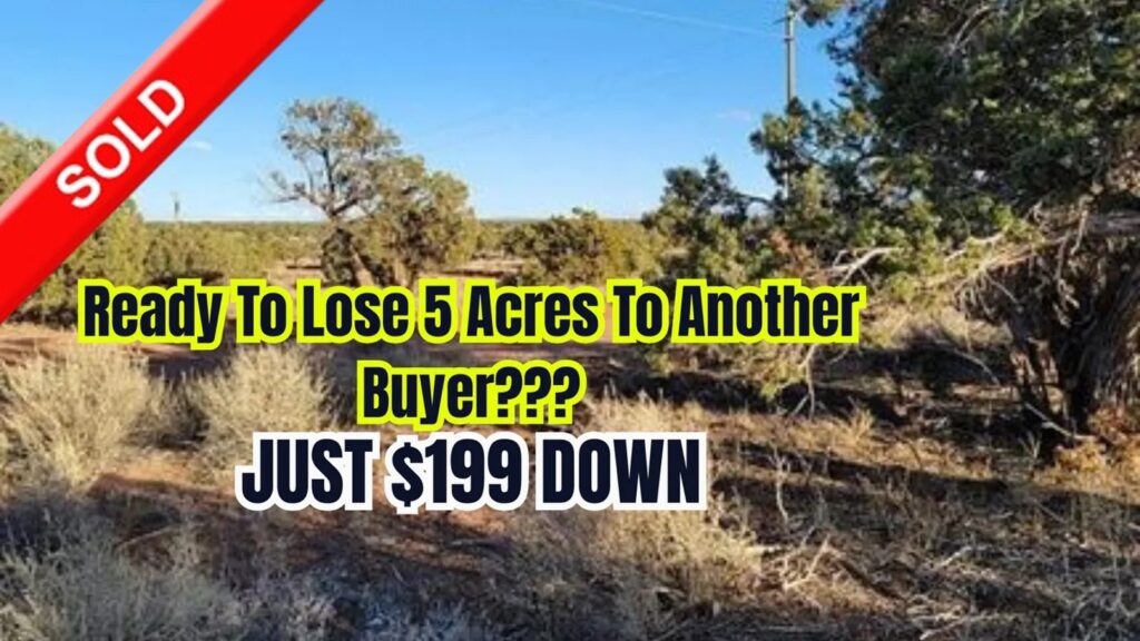 5 Acres – Navajo County, AZ